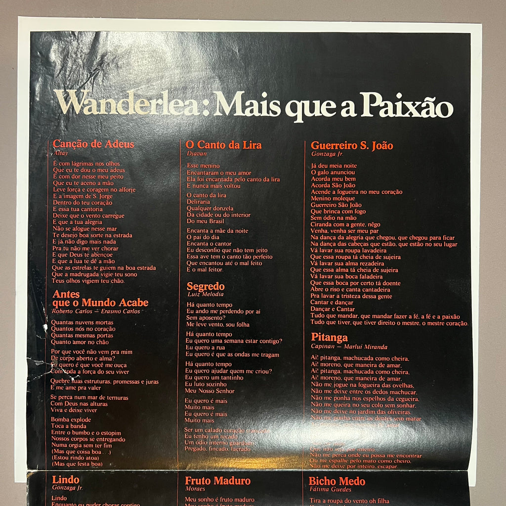 Wanderlea – Mais Que A Paixão