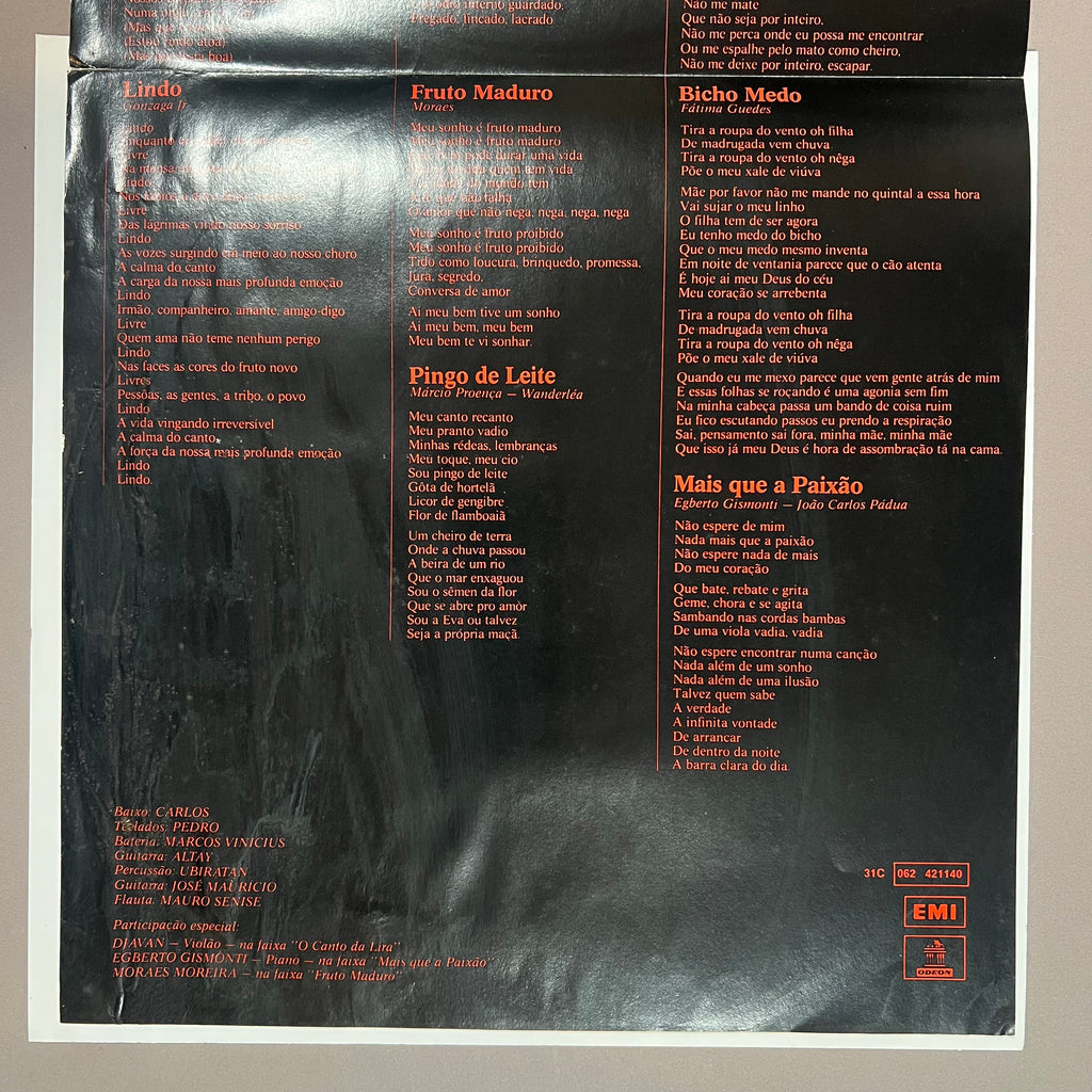 Wanderlea – Mais Que A Paixão