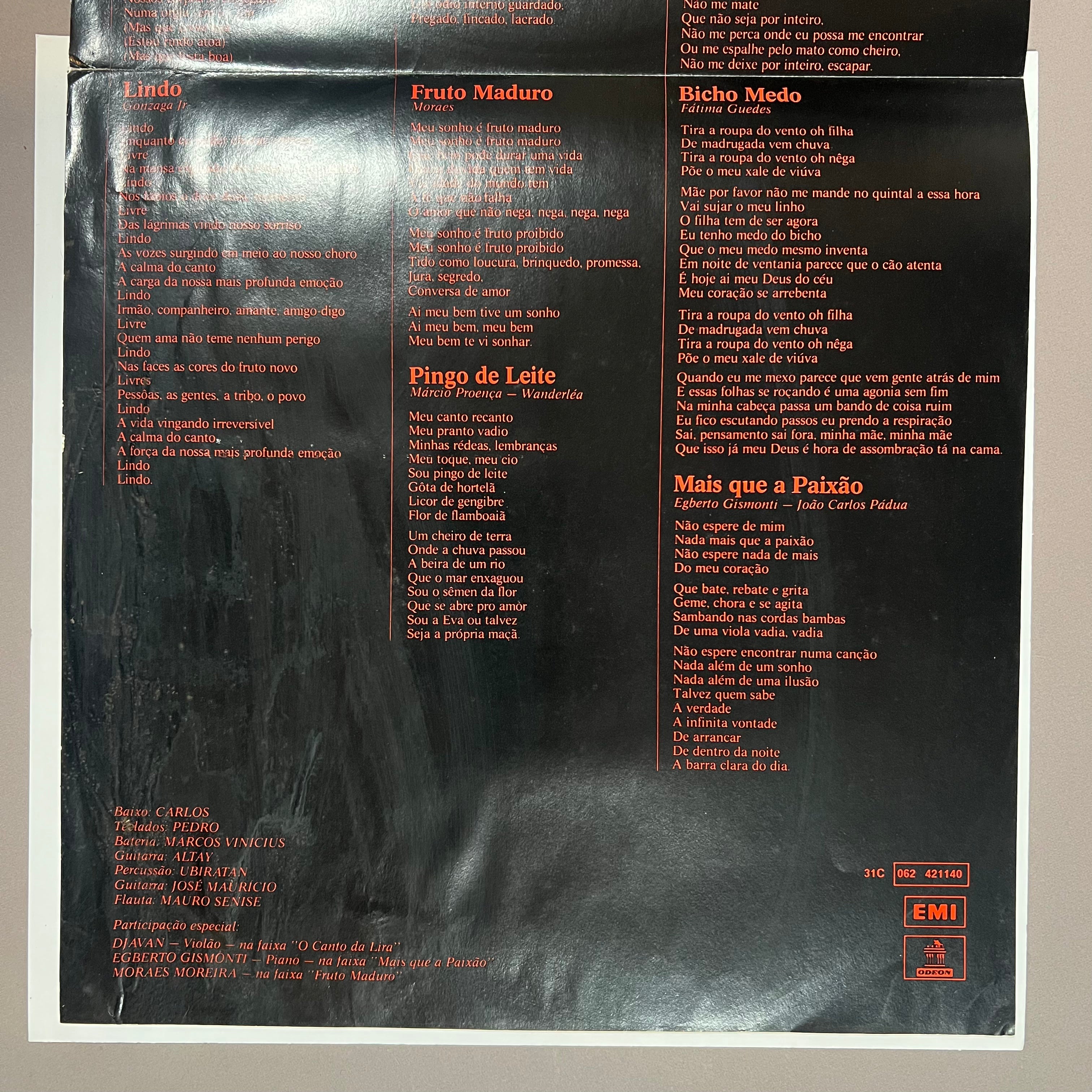 Wanderlea – Mais Que A Paixão