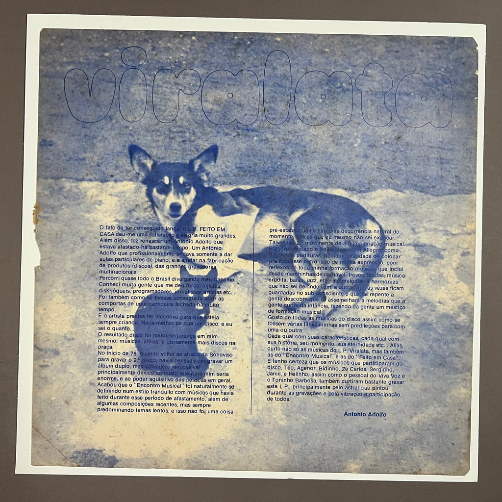 Antonio Adolfo – Viralata